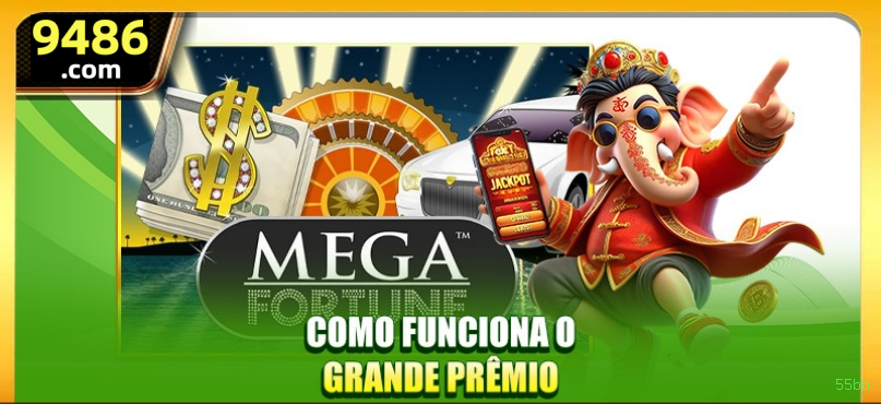 Microgaming 55bb